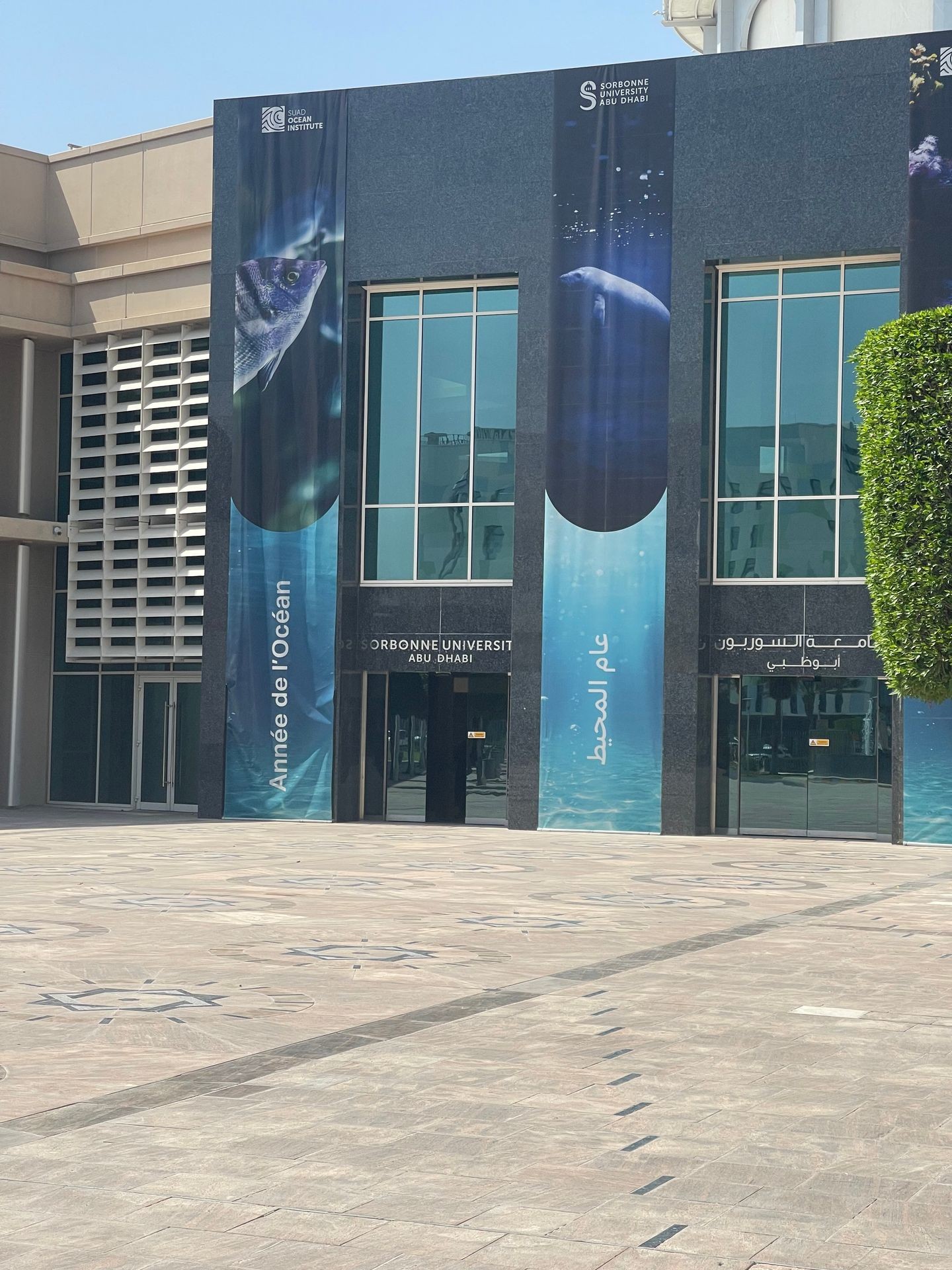Innovation & Research